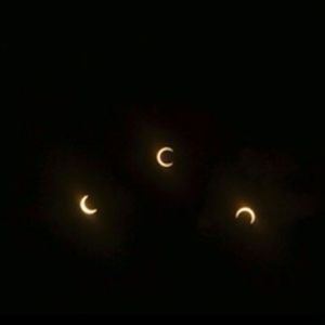 Meet your Posher, Allie